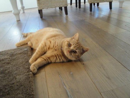 Lekker even bijkomen