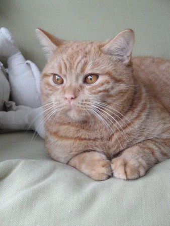 Galahad heeft het naar zijn zin....