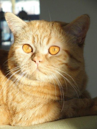 Mooi hoor het zonnetje in Sayang haar oogjes....