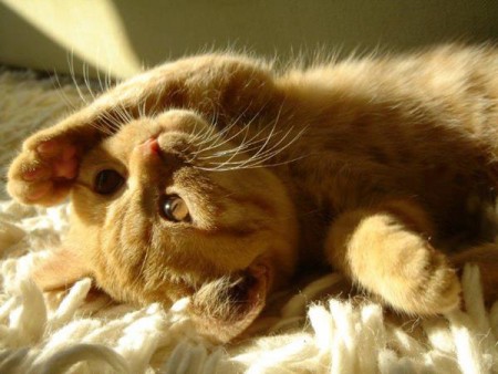 Lekker ravotten.....