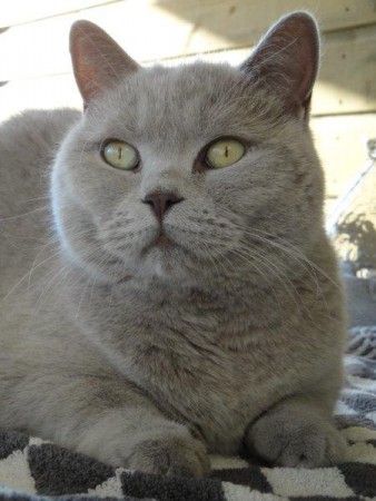 Lekker op tafel......