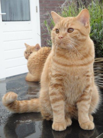 Even lekker buiten aan het genieten....