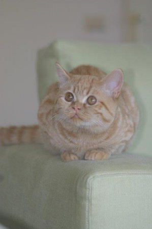 Sayang...een paar maandjes jong....