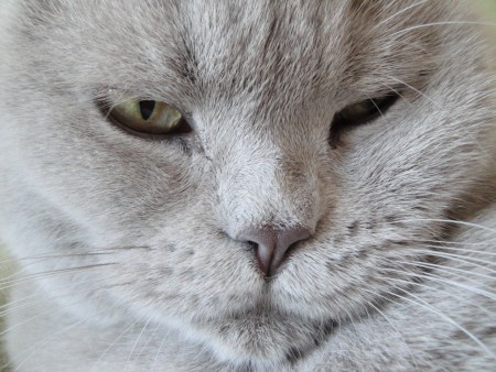 Even een close up.....