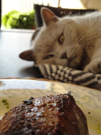 Zou ik ook een stukje biefstuk krijgen???.....