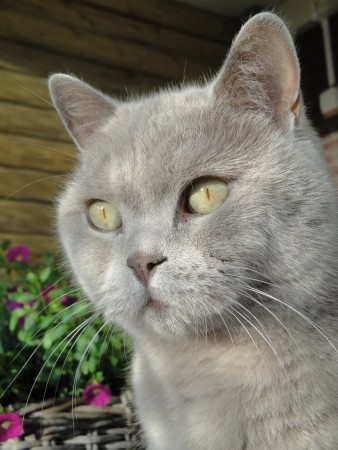 Mooi meisje van ons........