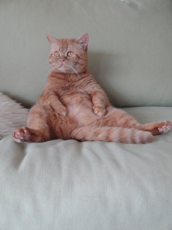 Even chillen hoor!!!....