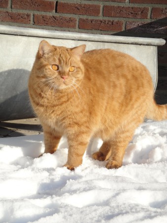 Ik krijg....KOUDE voetjes!!!!!!!......maar wel leuk hoor al dat rare witte spul!!!!!
