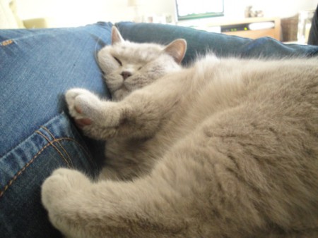 Lekker bij het vrouwtje liggen......