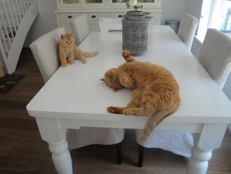 James kijkt goed hoe tante Sayang het allemaal doet.