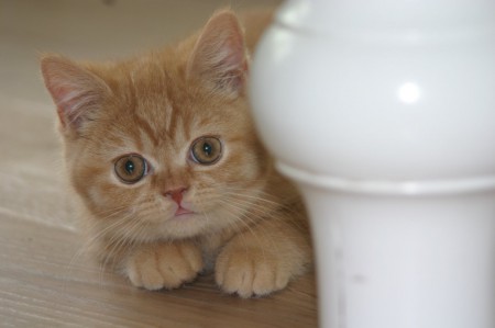 Kimara is zo schattig!!!