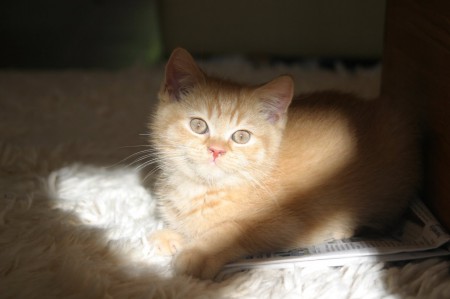 Ridley is heel fotogeniek!!.